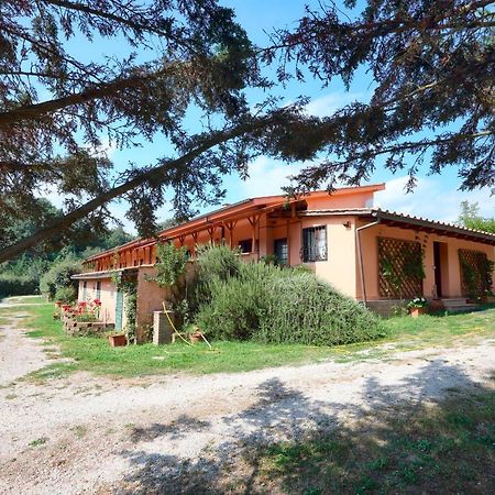 Civitella Cesi La Dimora Degli Etruschi 호스텔 외부 사진