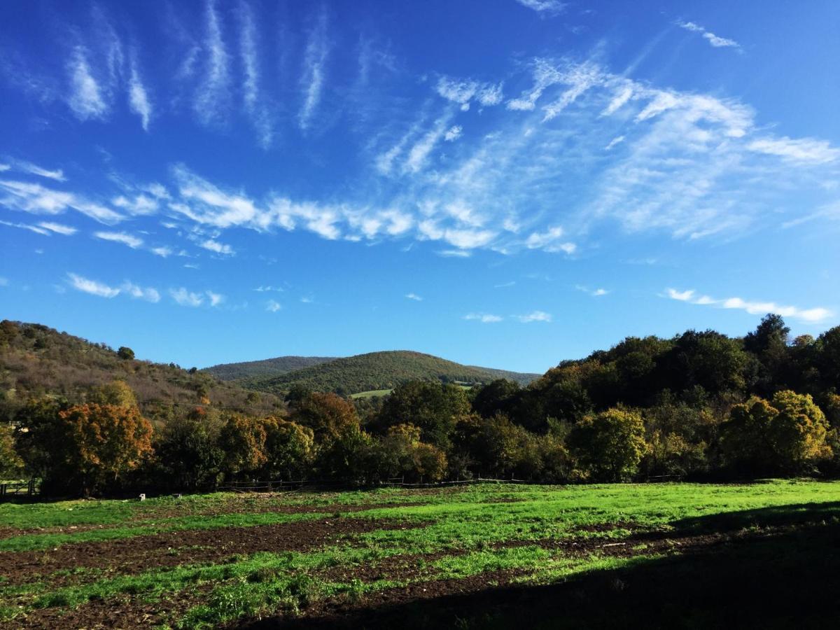 Civitella Cesi La Dimora Degli Etruschi 호스텔 외부 사진