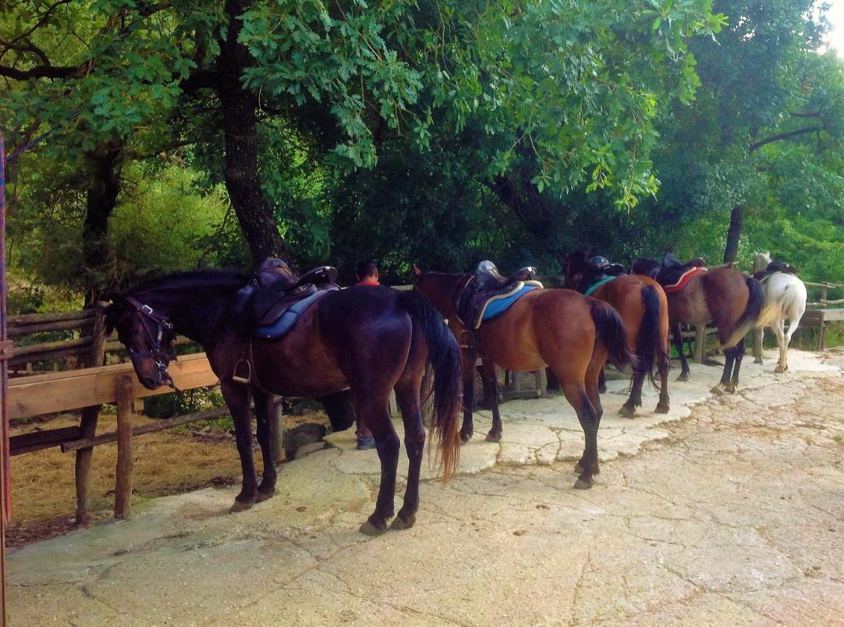Civitella Cesi La Dimora Degli Etruschi 호스텔 외부 사진