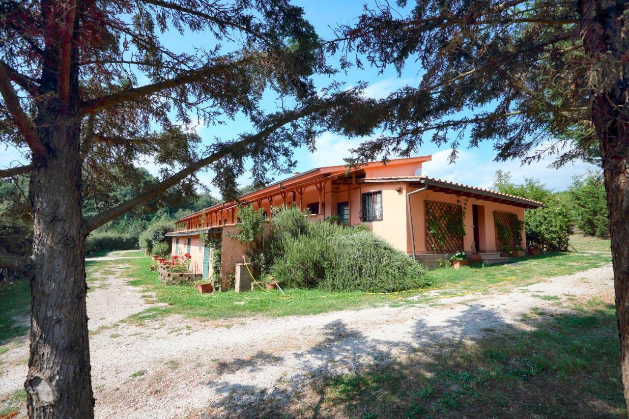 Civitella Cesi La Dimora Degli Etruschi 호스텔 외부 사진